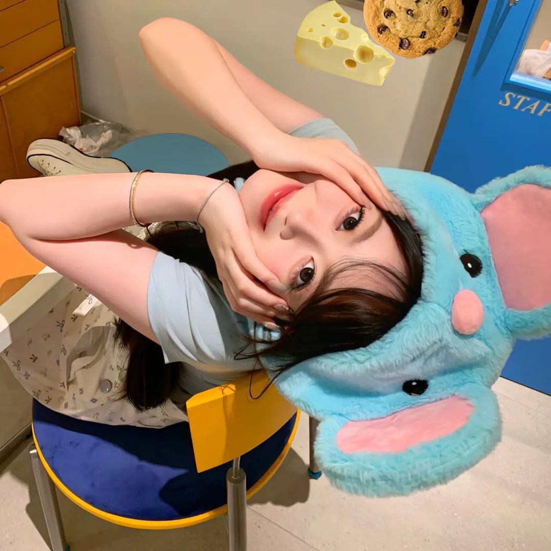 假如动物会摄影